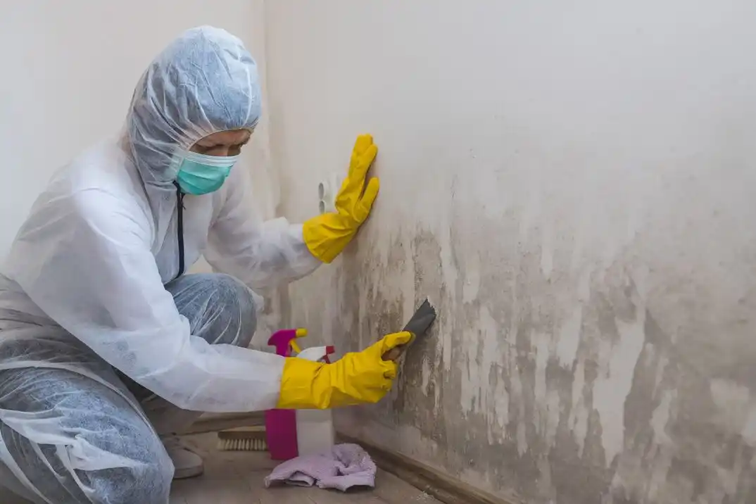 water damage restoration service Thornbrooke